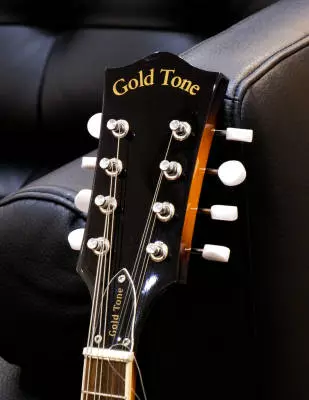 Gold Tone - GM-50+ A-Style Mandolin with Pickup 2